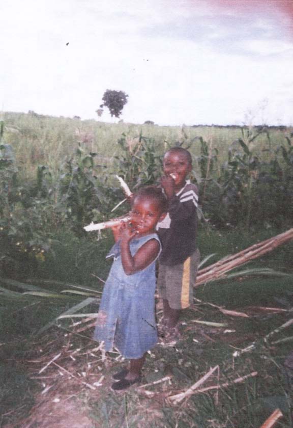 Figure 2 a : 2002 Google Image of Maiduguri