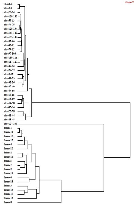 Figure 9 : Shakespeare's usage of a set 10 function words vs de Vere's
