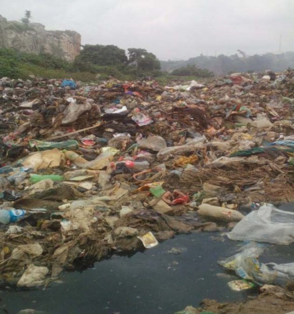 Oil Spills Cleanup Operations on Land and Inland Waters -The Mangroves Cleanup Philosophy