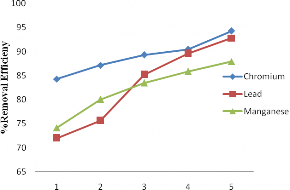 Figure 11: The Mangrove Ecosystem
