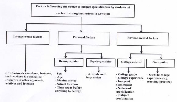 Figure 1: Conceptual framework of the study adapted from the Classification Schema Model and the Self-Determination Theory developed Hodges and Karpova (2010).