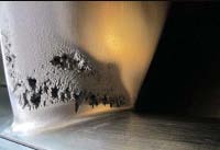 Figure 5: Population Density 0 -1600