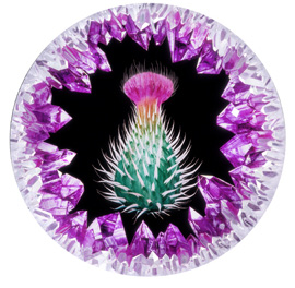 Fig. 2 : Way will Open, 2013, 76.2 cm diameter on .32 cm Plexiglas, backlit