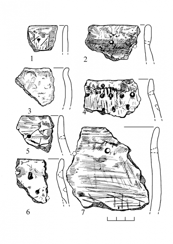 Regarding about the Cultural Attribution of Hill Forts in Braslav Poozerye