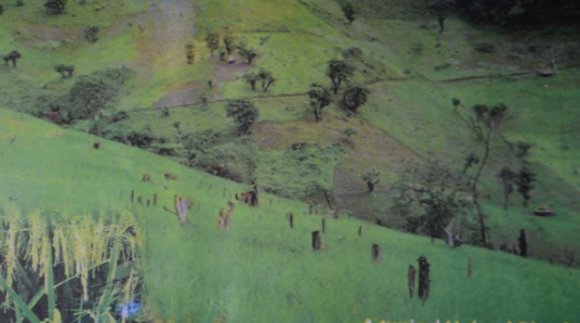 quoted in Ok pokpo 2005:20). Kakpeyeng et al (2004:25) also observes a rich cultural heritage to be intandem with modernity. He cited "Homowo" festival in Tema, as one of the festivals that has been affected with some modern changes due to the influence of Christianity. b) The Rice Culture & Process of Celebration According to the senior fetish priest of the Ava time Traditional Area (Okatsie Otoo Kwaku)corroborated by the senior linguist of the Traditional area and other ethnographic sources, the fetishes 'Ayamapor' and 'Gadzo' residing in Biakpa and Gbadzeme respectively are the custodians of the tradition of rice cultivation.