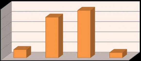 Figure 3 : Gender