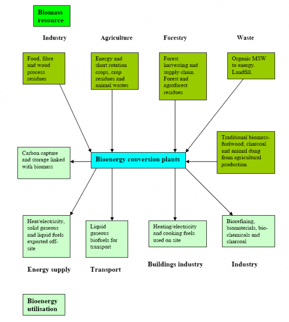 Figure 3 : Biogas production process(Omer, 2003)