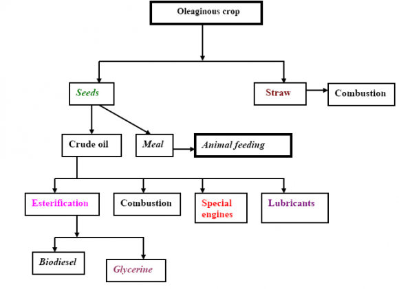 Figure 11 : Exergy based optimal energy model(Omer, 2008)