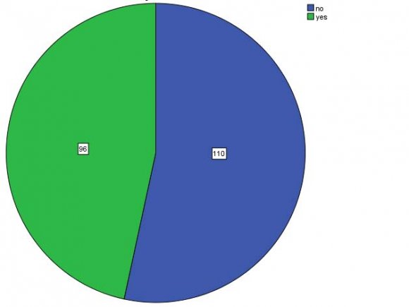 Figure 10 : Monthly expenditures on cell phone use