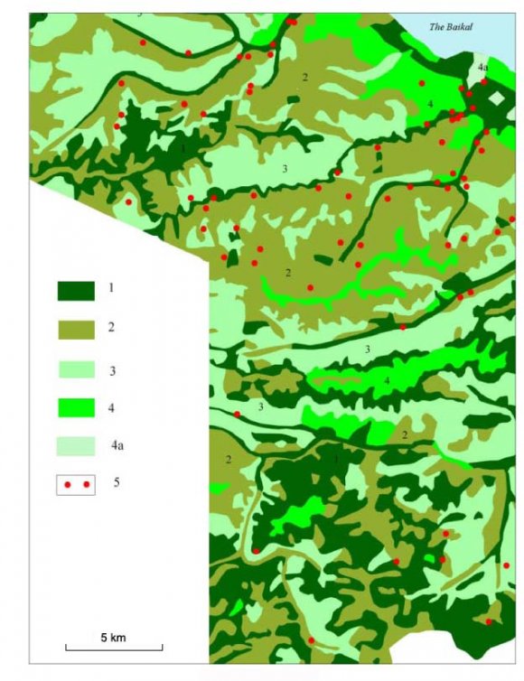 Structure of Mountain Forests of the Lake Baikal Southwestern Coast