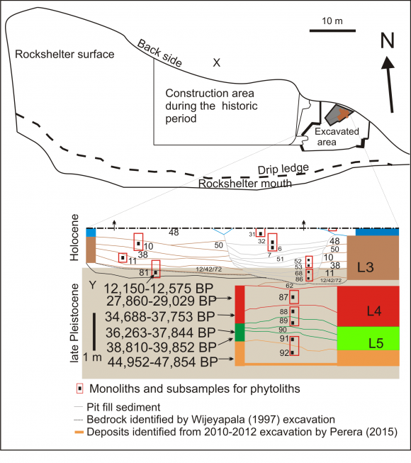 Fig. 2: Late Pleistocene stratigraphy of the rock shelter (Y). Excavated area is marked (X)