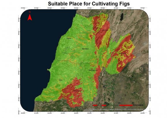 Figure 15: Nuts Map Figure 16: Olives Map