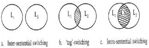 Figure 1: The types of code-switching and the degree of switching in them (S. Poplack 1980, p.615)
