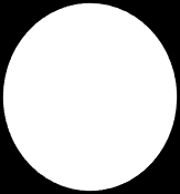 Figure 1: Preliminary Themes Condensed Into a Broader Theme