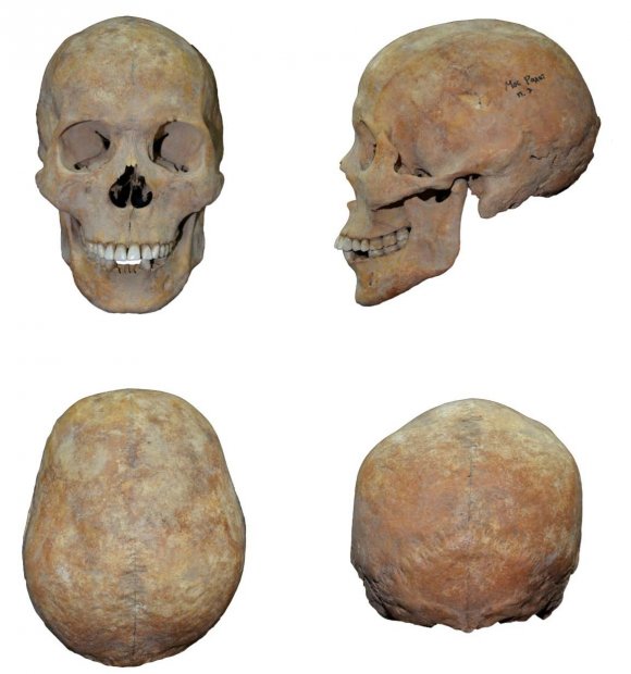 Figure 24: The Rakhat cemetery. Mound ?1. The plate Ceramic vessels were found on the left side of the human skeleton at the burial hole during the excavation of mound ?3 [7].The bowl (fig.31, 32). The half-spherical crockery is composed of fine sand and mica blended clay. From the bottom of the round, the wall is unevenly folded and folded in the cross section, with a bent arc. It can be seen from the outside that the density of the