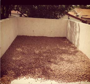 Cost Study for Green Roof Implementation in Boa Vista/RR Source: Birth (2019).Source: Author (2019).