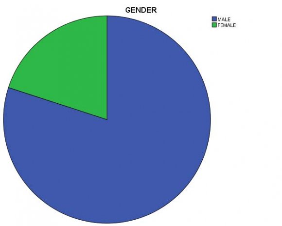 Meyer, Stanley, Herscovitch & Topolnytsky, 2002), willingness to share knowledge and engagement in extra-role behaviour (Storey & Quintas, 2001; McKenzie, Truch & Winkelen, 2001).