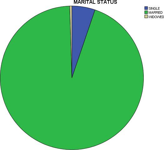 Figure 4.1: Pie Chart plot showing numbers and distribution of University studied