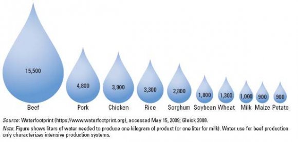 Figure 3 : Water Use for Agricultural Products (liters per kg).