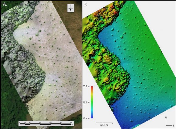 OF MOUND PATTERNING McKey and Renard (McKey, et al. 2014; McKey, et al. 2010; Renard, et al. 2012a; Renard, et al. 2012b)
