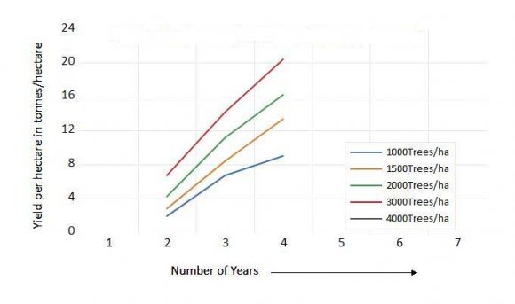 Figure 3: Yield per hectare with respect to Orchard Density