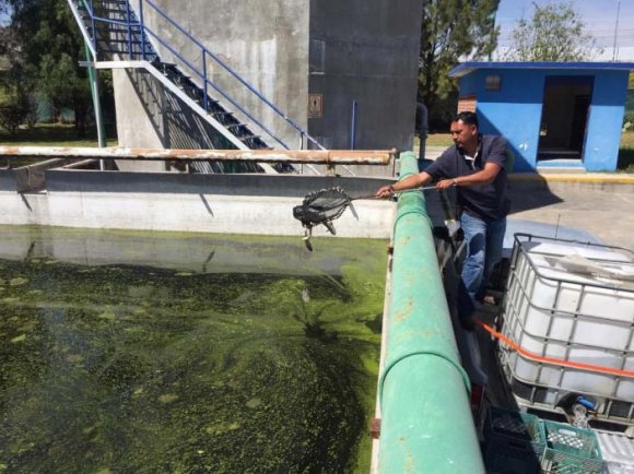 Figura 4: Siembra de tilapia Para monitorear el estado de salud de los ejemplares se instalaron 2 jaulas flotantes de 8 m³, y se incorporó una bomba para oxigenar el agua, figura 5.