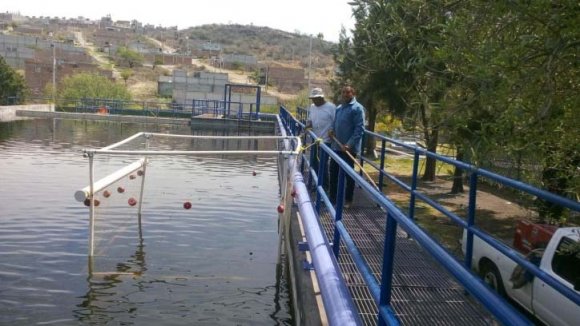 Figura 5: Jaulas flotantes b) De la alimentación de los ejemplaresEn nuestro caso de estudio, el estanque posee una ubicación orientada de este a oeste lo que permite que la radiación solar abarque todo el espejo del agua a lo largo del día. De esta manera, recurrimos al ciclo diurno de producción de micro algas para la alimentación de las tilapias. Las microalgas son altamente atractivas principalmente por poseer características nutricionales muy favorables (Barraza et al, 2020).