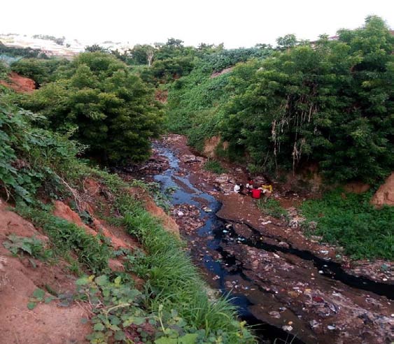 (2012), Seutloali et al. (2015), Mallam et al. (2016), and Dalil et al. (2016).