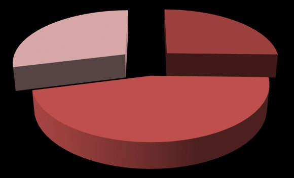 Figure No.1 Source : Field Survey, 2011