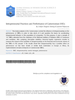 Intrapreneurial Practices and Performance of Cameroonian SMEs